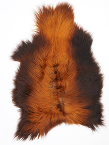 Islandes aitāda "Rusty" XL 