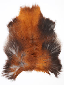 Islandes aitādas "Rusty" L 