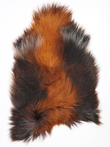 Islandes aitādas "Rusty" XXL 