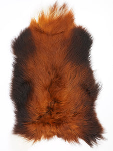 Islandes aitādas "Rusty" L 