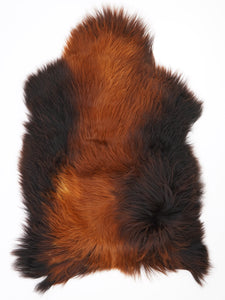 Islandes aitāda "Rusty" XL 