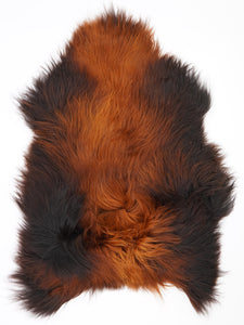Islandes aitādas "Rusty" L 