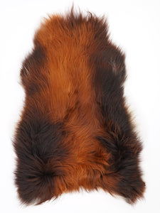 Islandes aitāda "Rusty" XL 