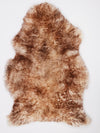 Muflona aitāda XXL