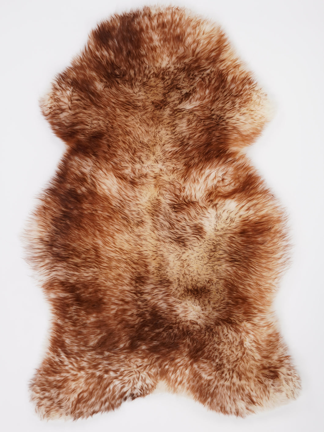 Muflono avikailis XL