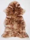Muflona aitāda XXXL