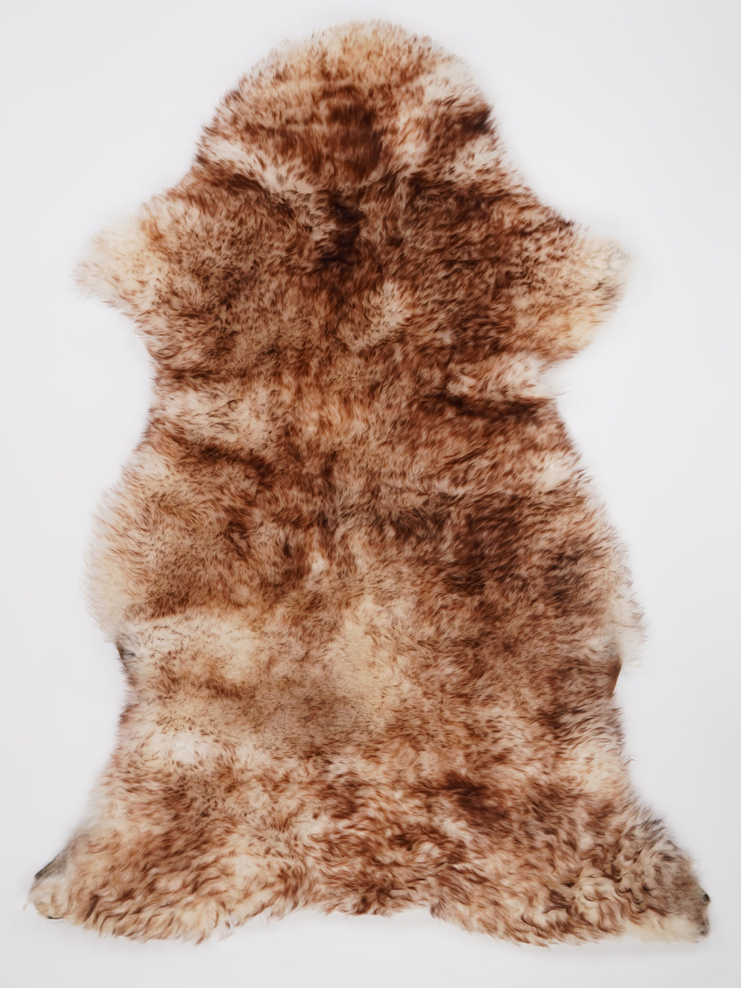 Muflona aitāda XXXL