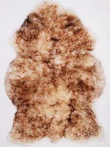 Muflona aitāda XXL 