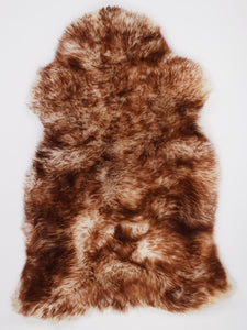 Muflona aitāda XL