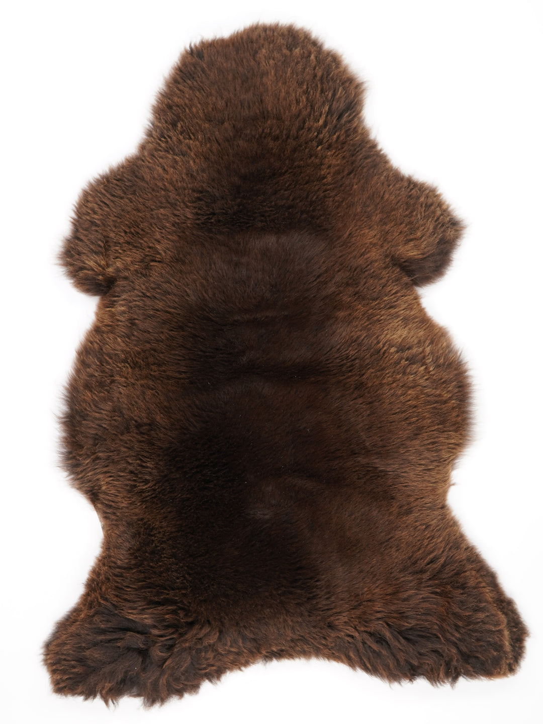 Brūna aitāda XXL 