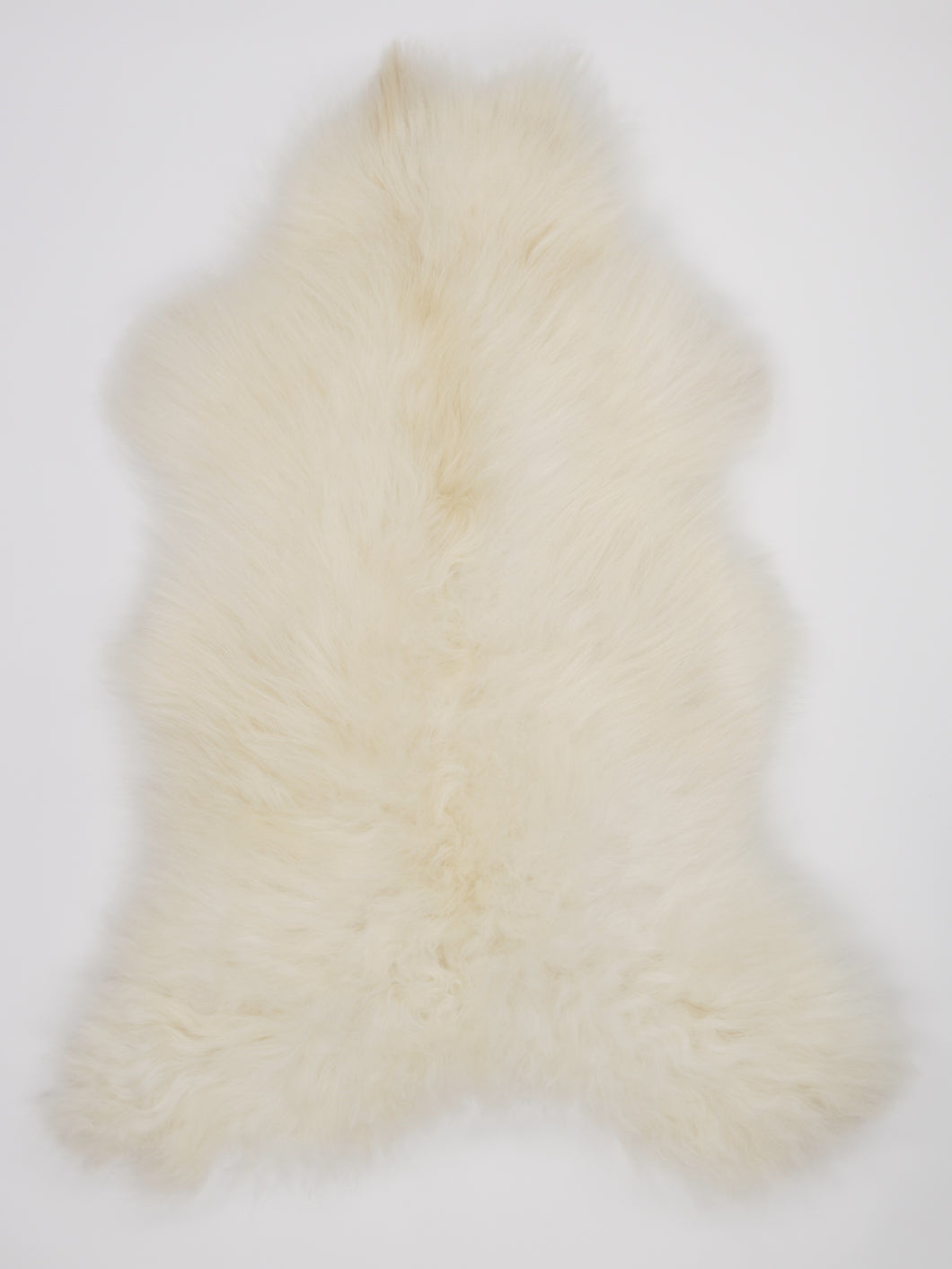 Skandinaviškas baltas avikailis XL