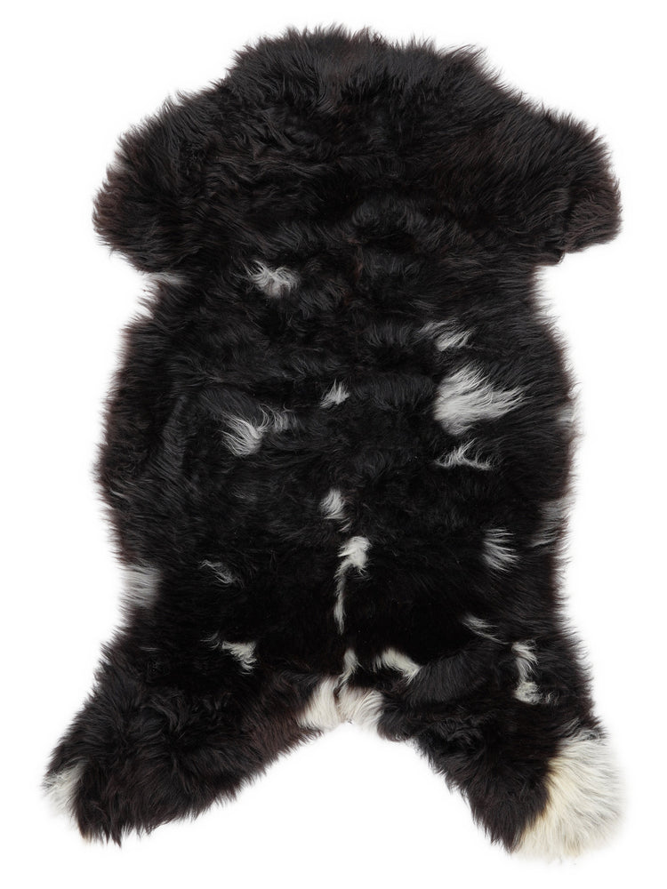 Įvairiaspalvis avikailis XL