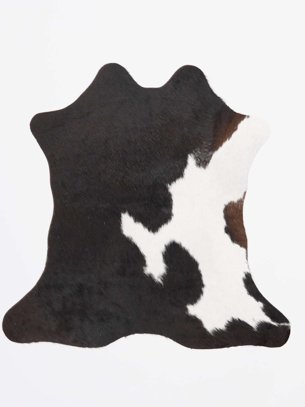 MINI govs kažokādas