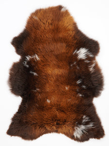 Brūna aitāda "Rusty" XL 