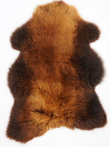 Brūna aitāda "Rusty" XXL 