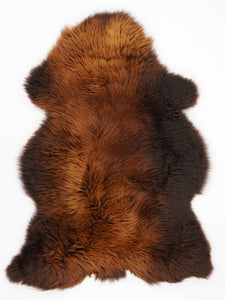 Brūna aitāda "Rusty" XL 