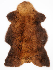Brūna aitāda "Rusty" XL 