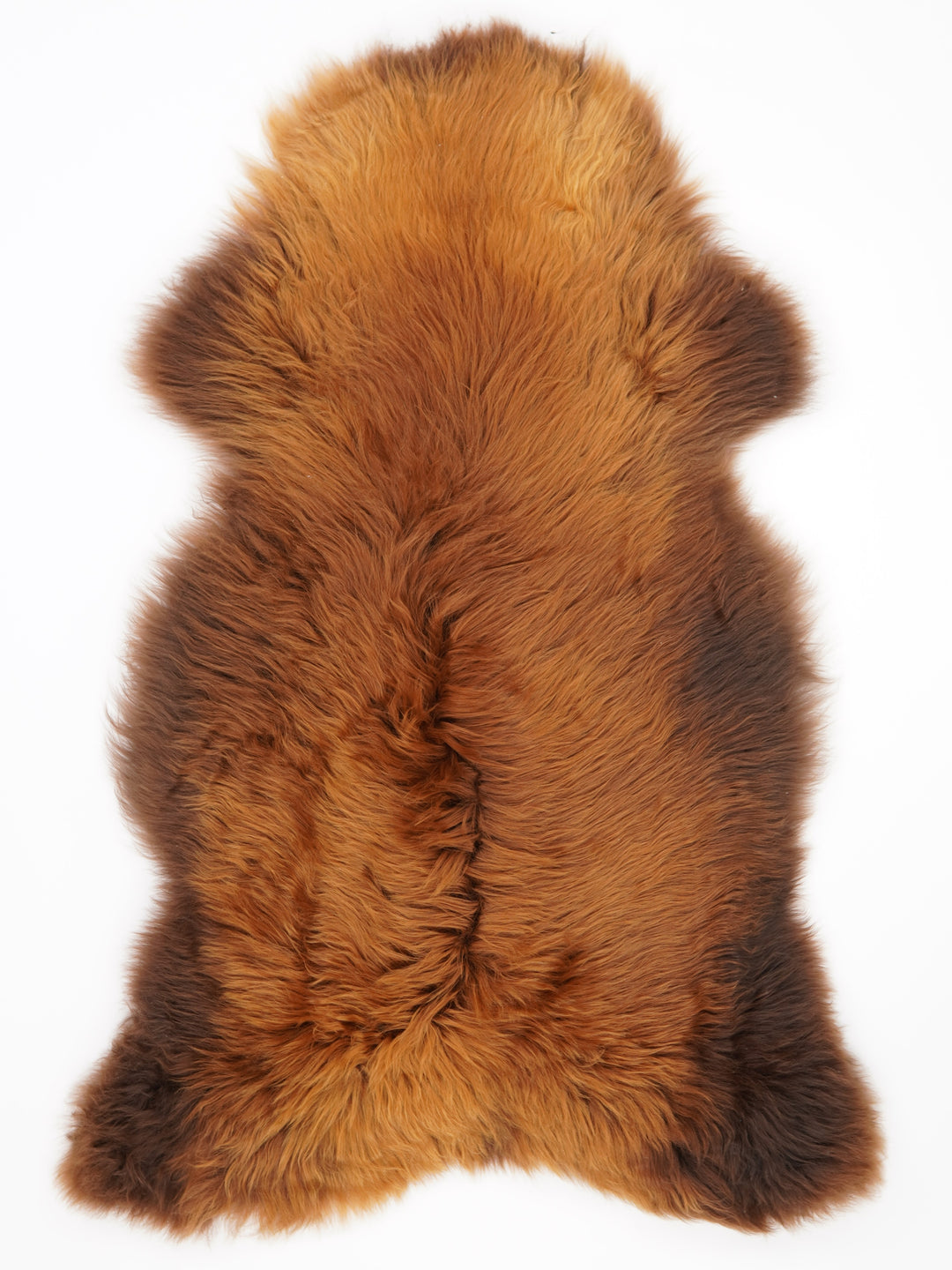 Brūna aitāda "Rusty" XL 