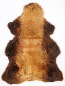 Brūna aitāda "Rusty" XXL 