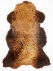 Brūna aitāda "Rusty" XXL