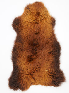 Brūna aitāda "Rusty" XXXL