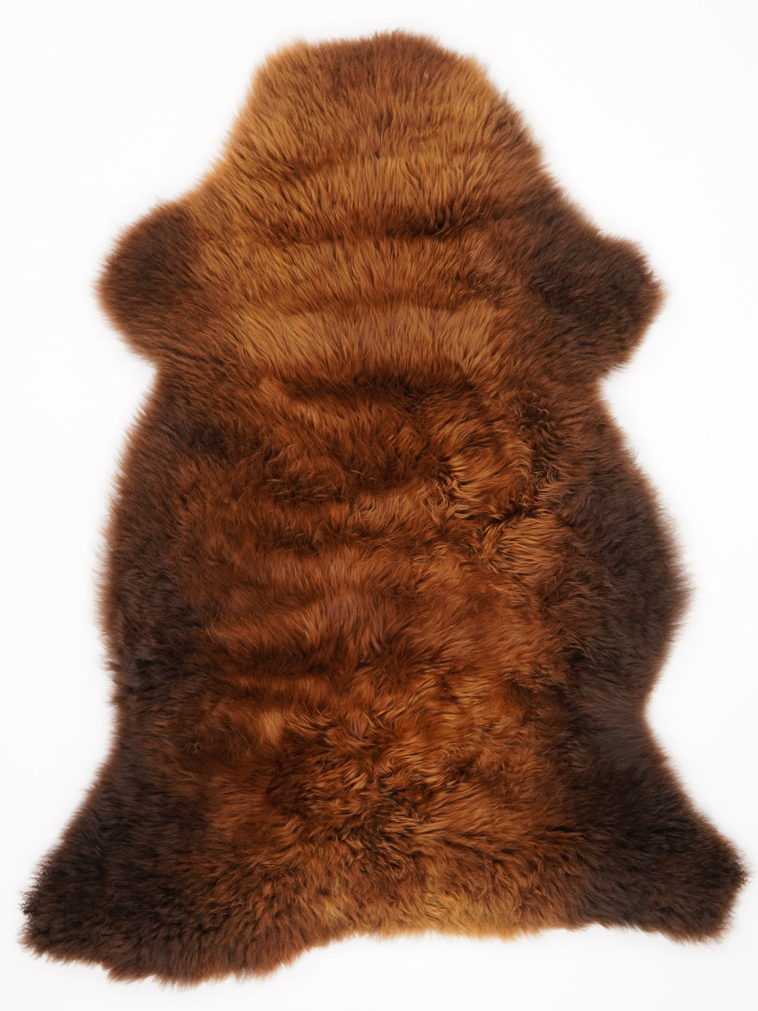 Brūna aitāda "Rusty" XL