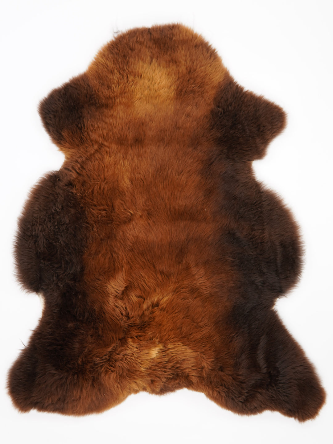 Brūna aitāda "Rusty" XXL