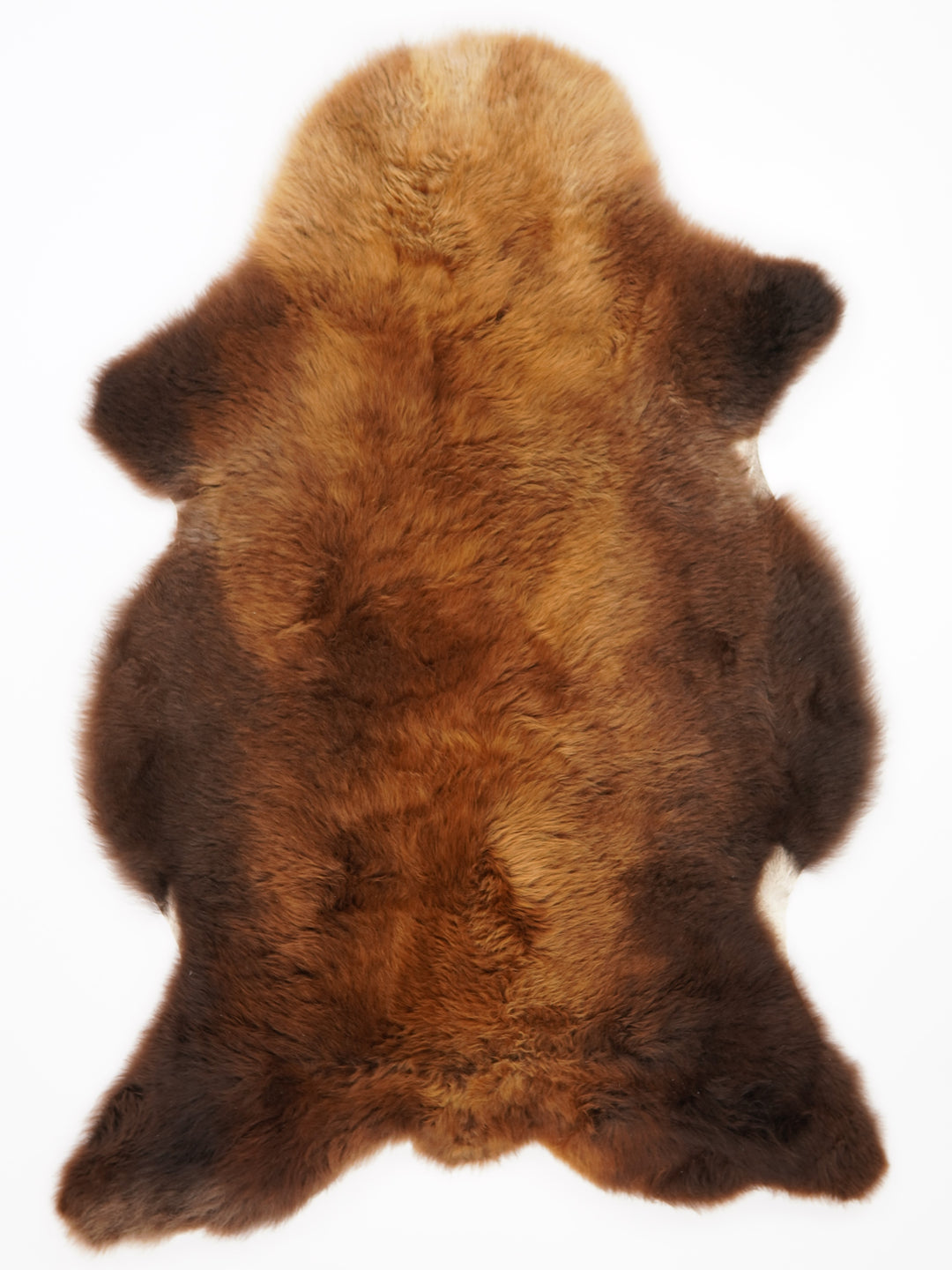 Rudas avikailis "Rusty" XL