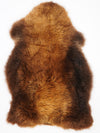Brūna aitāda "Rusty" XXL