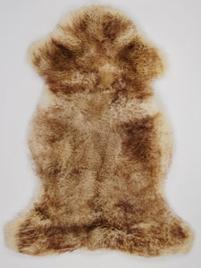 Muflona aitāda XL 