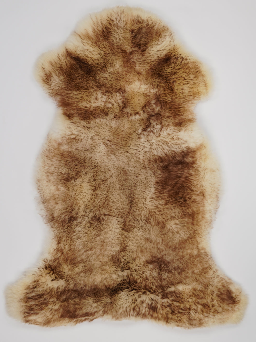 Muflona aitāda XL 