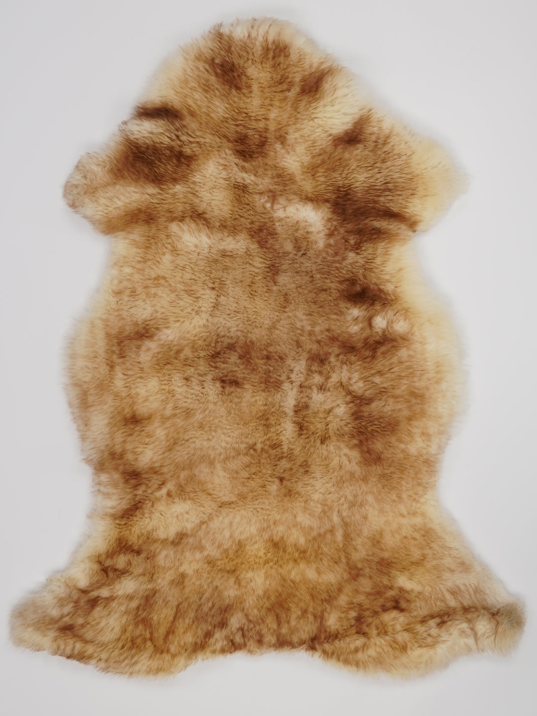 Muflona aitāda L