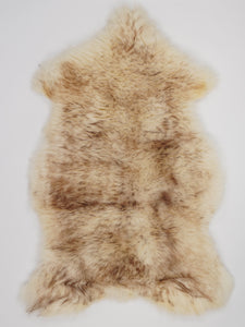 Muflona aitāda XL
