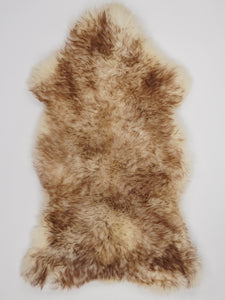 Muflona aitāda XL 
