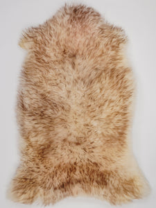 Muflona aitāda XL 
