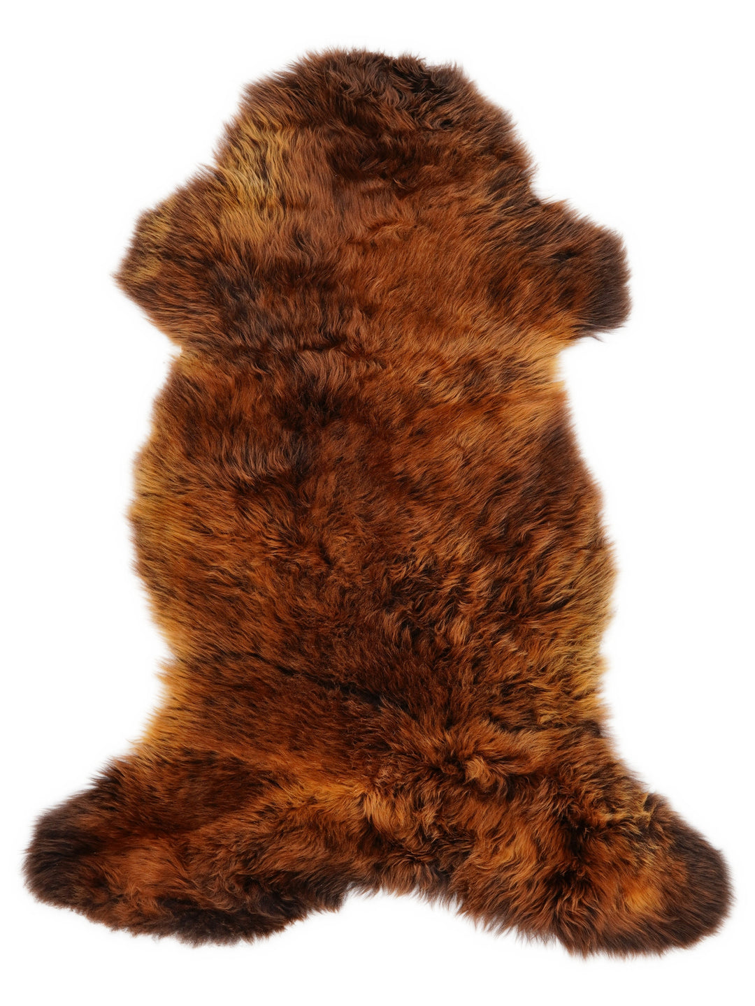 "Rusty" Įvairiaspalvis avikailis M