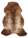 Daudzkrāsaina aitāda M