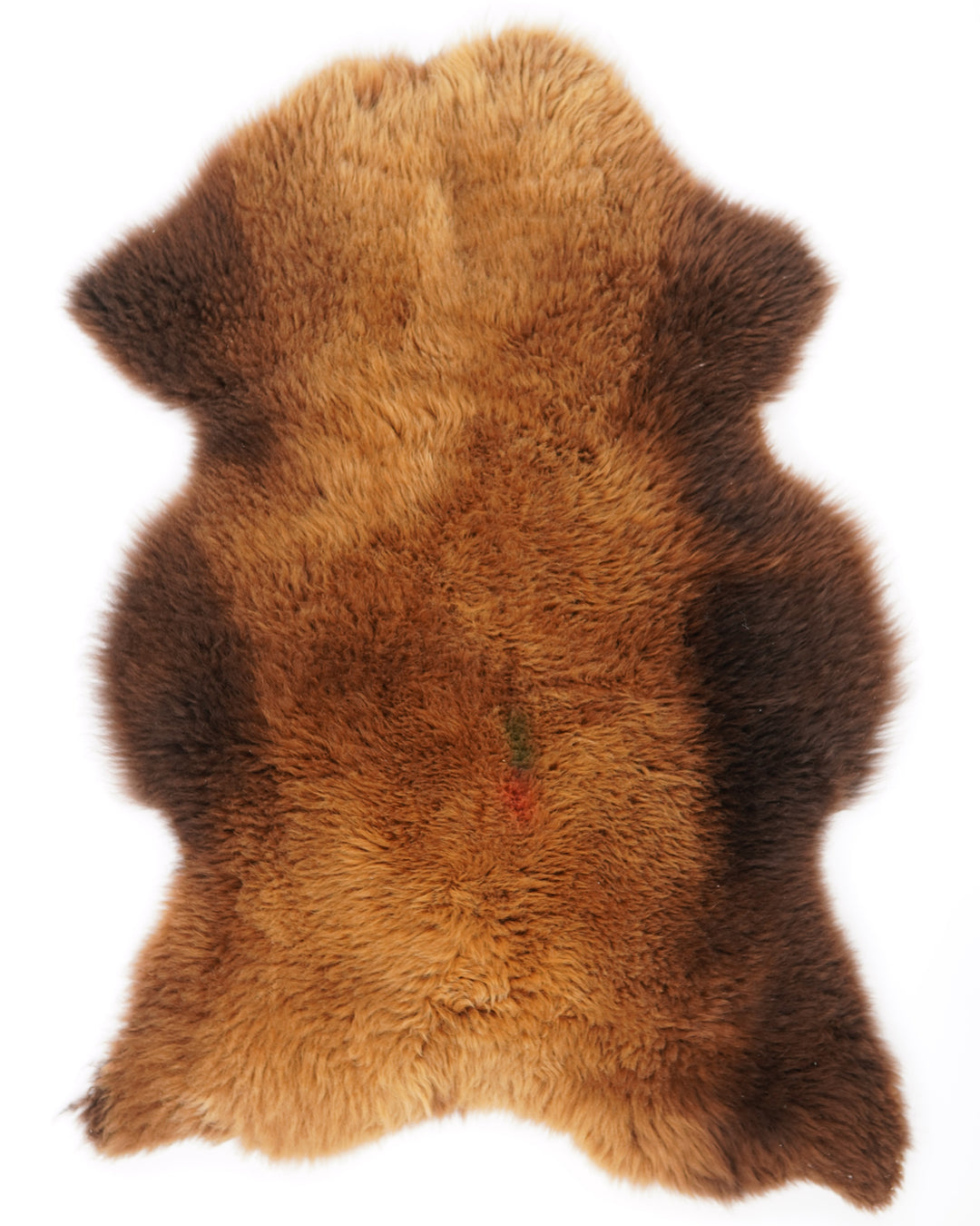 B+ klases aitāda "Rusty" XXL