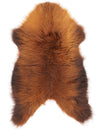 B+ klases aitāda "Rusty" M