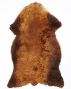 B+ klases aitādas "Rusty" XL 