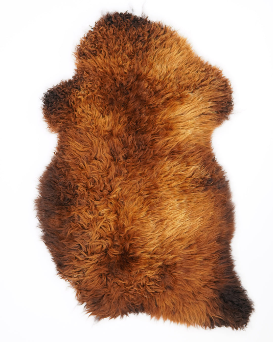 B klases aitādas "Rusty" L 