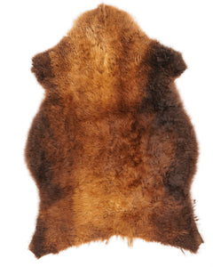 B klases aitādas "Rusty" M 