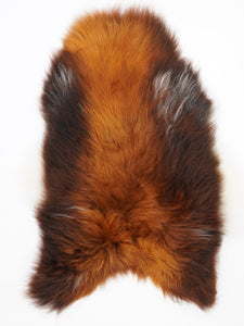 Islandes aitāda "Rusty" XL 