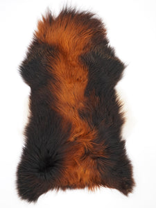 Islandes aitādas "Rusty" XXL 