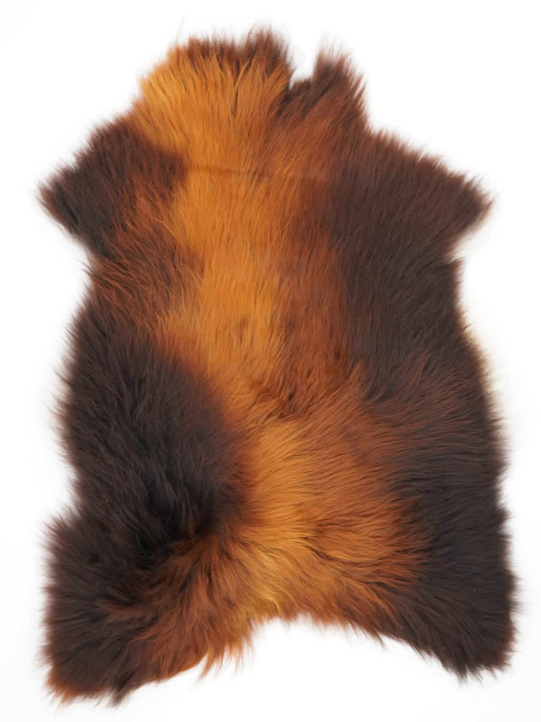 Islandes aitāda "Rusty" XL