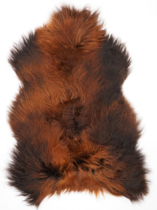 Islandes aitādas "Rusty" XXL 