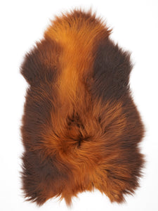 Islandes aitādas "Rusty" XXL 
