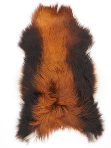 Islandes aitāda "Rusty" XL 