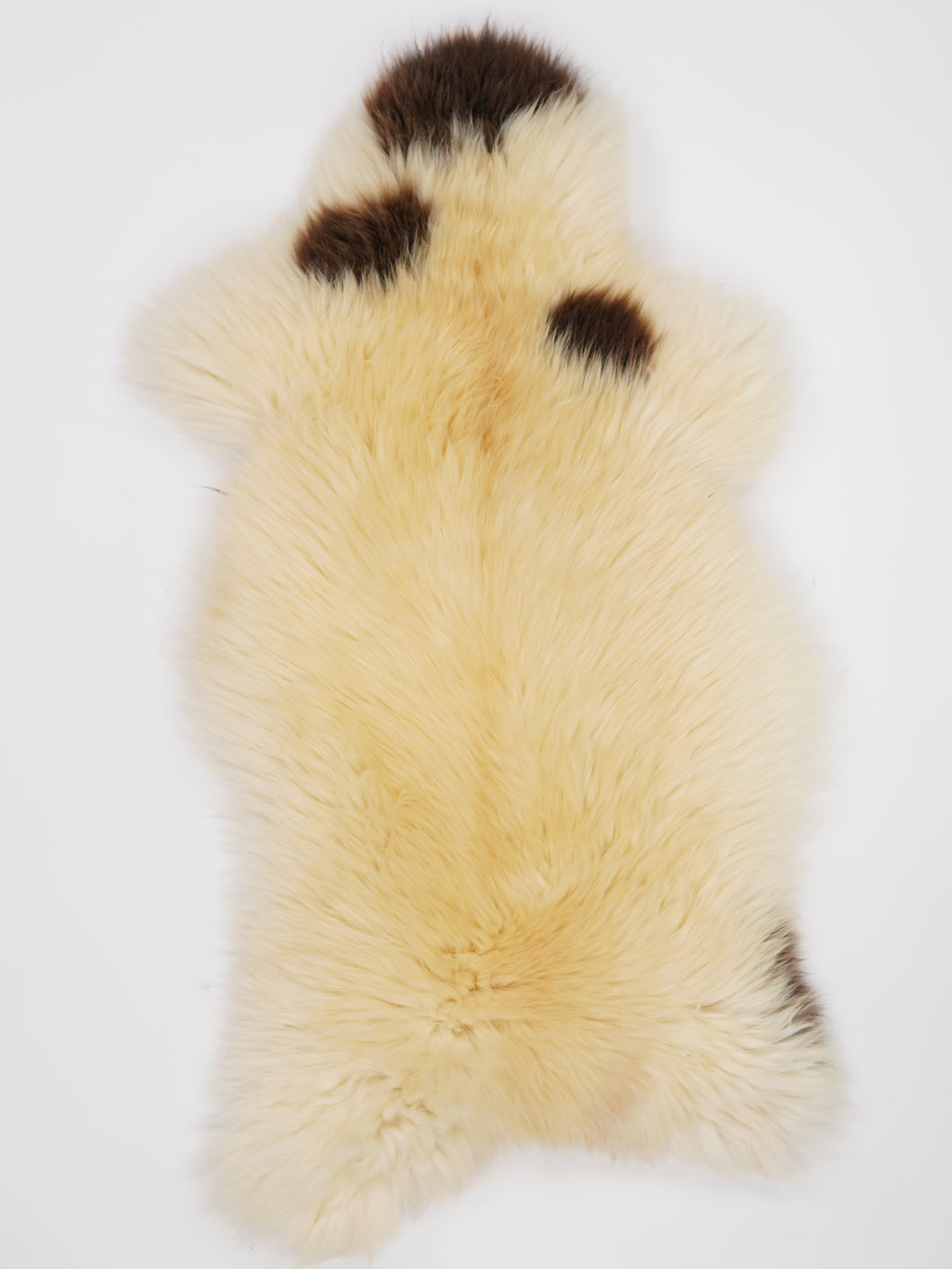 Įvairiaspalvis avikailis XL