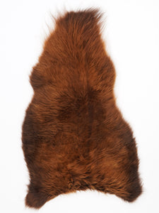 B+ klases aitādas "Rusty" M
